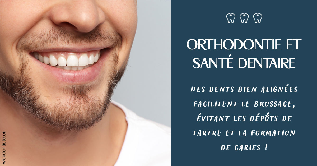 https://dr-laulhere-vigneau-jean-marc.chirurgiens-dentistes.fr/Orthodontie et santé dentaire 2