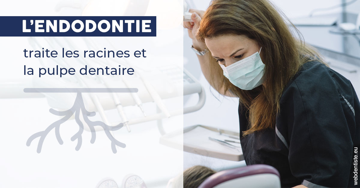 https://dr-laulhere-vigneau-jean-marc.chirurgiens-dentistes.fr/L'endodontie 1