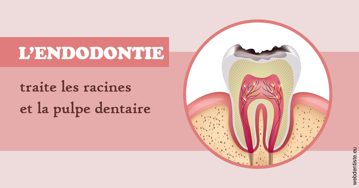 https://dr-laulhere-vigneau-jean-marc.chirurgiens-dentistes.fr/L'endodontie 2