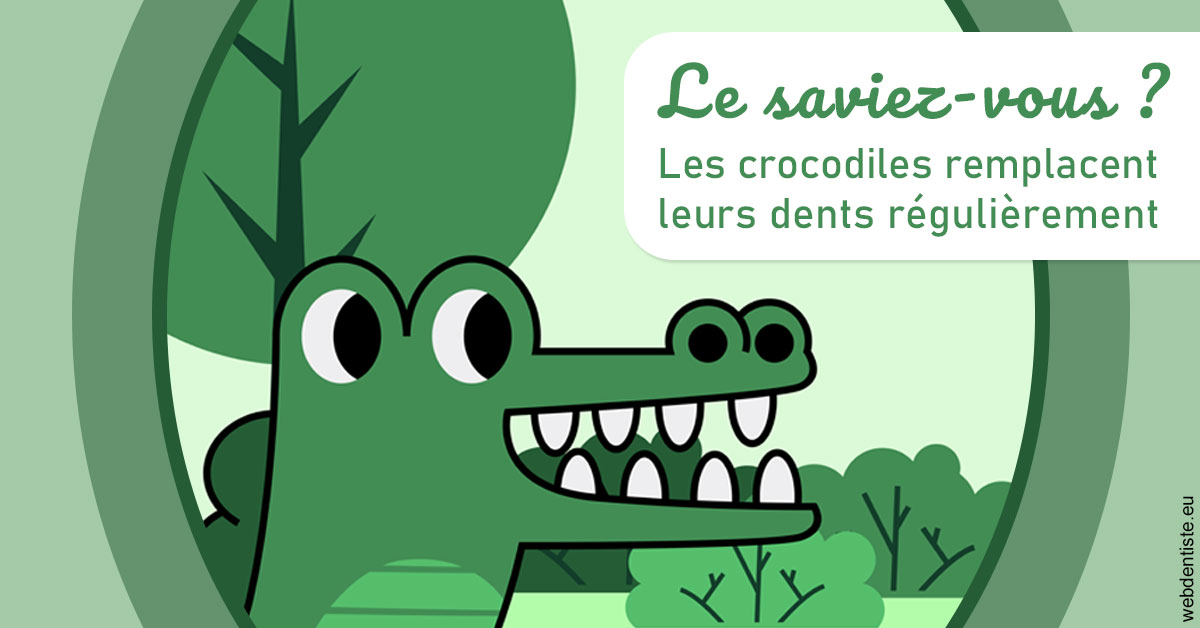 https://dr-laulhere-vigneau-jean-marc.chirurgiens-dentistes.fr/Crocodiles 2