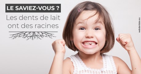 https://dr-laulhere-vigneau-jean-marc.chirurgiens-dentistes.fr/Les dents de lait