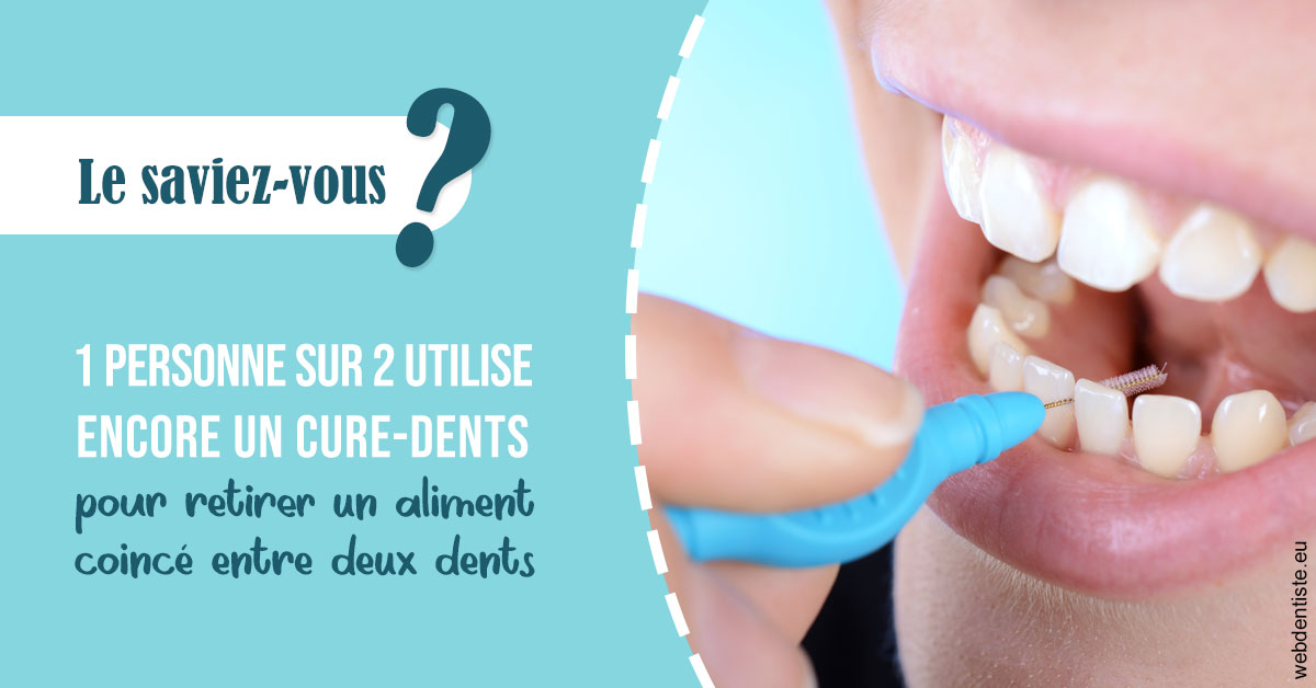 https://dr-laulhere-vigneau-jean-marc.chirurgiens-dentistes.fr/Cure-dents 1