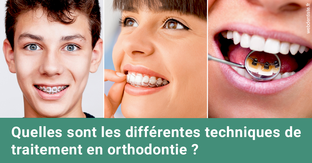https://dr-laulhere-vigneau-jean-marc.chirurgiens-dentistes.fr/Les différentes techniques de traitement 2