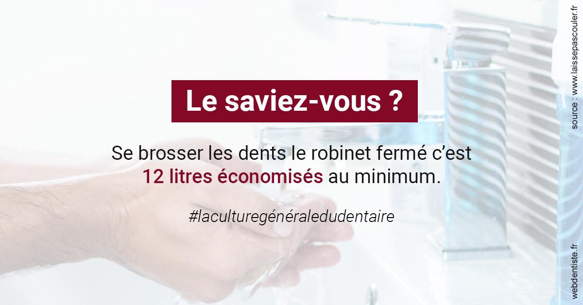 https://dr-laulhere-vigneau-jean-marc.chirurgiens-dentistes.fr/Economies d'eau 2