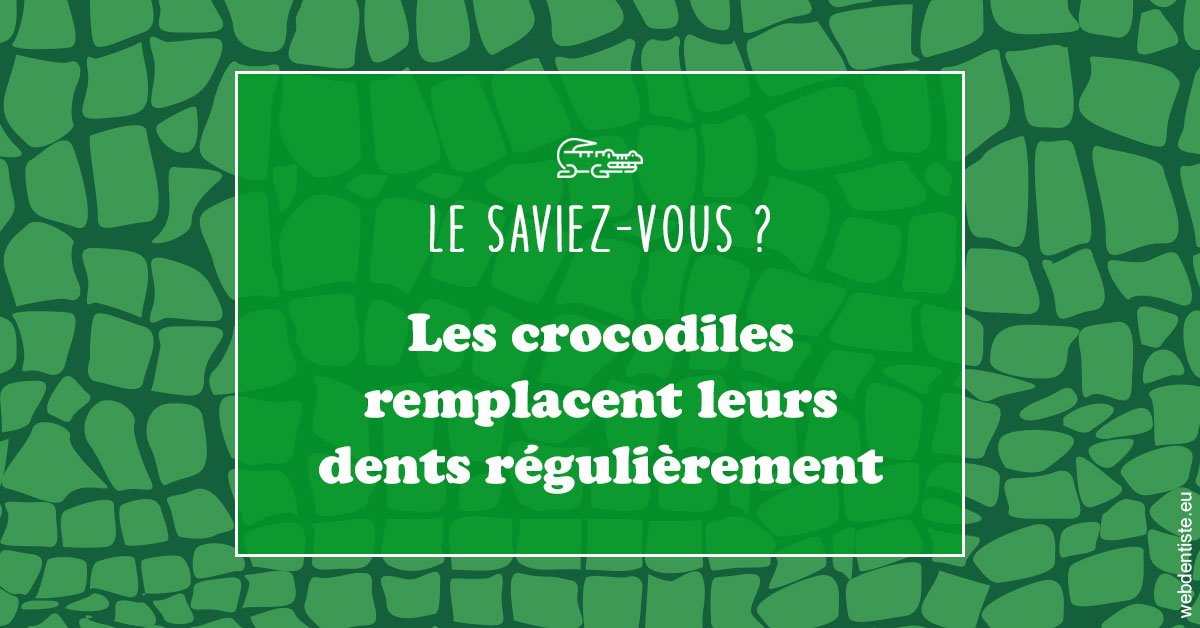 https://dr-laulhere-vigneau-jean-marc.chirurgiens-dentistes.fr/Crocodiles 1